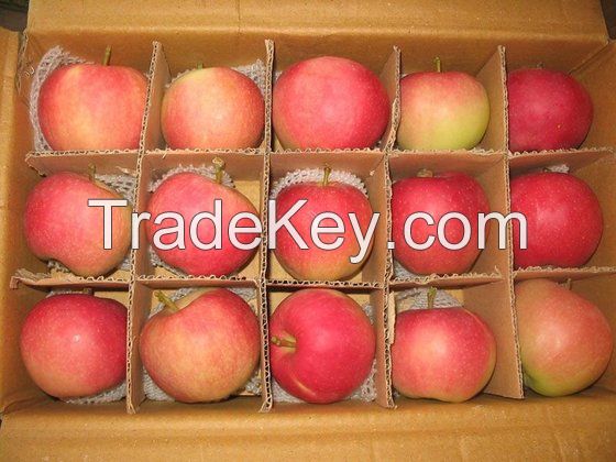 Wholesale Royal Gala Apple