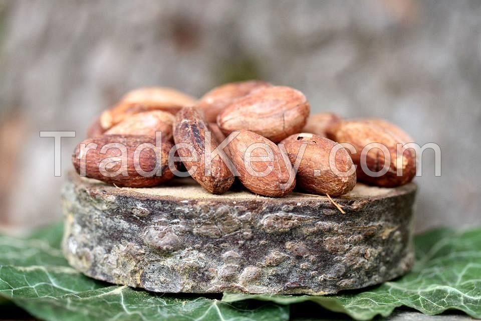 High quality fine cocoa beans 