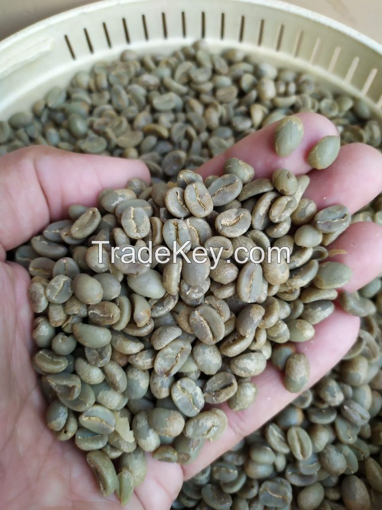 Raw Coffee Beans