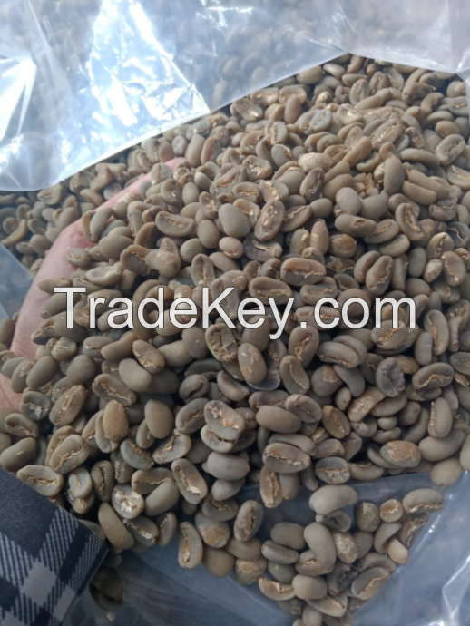 Raw Coffee Beans