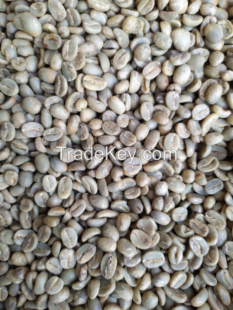 Raw Coffee Beans