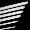 fluorescent lamp