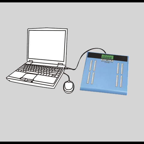 USB Electronic Body Fat Scale