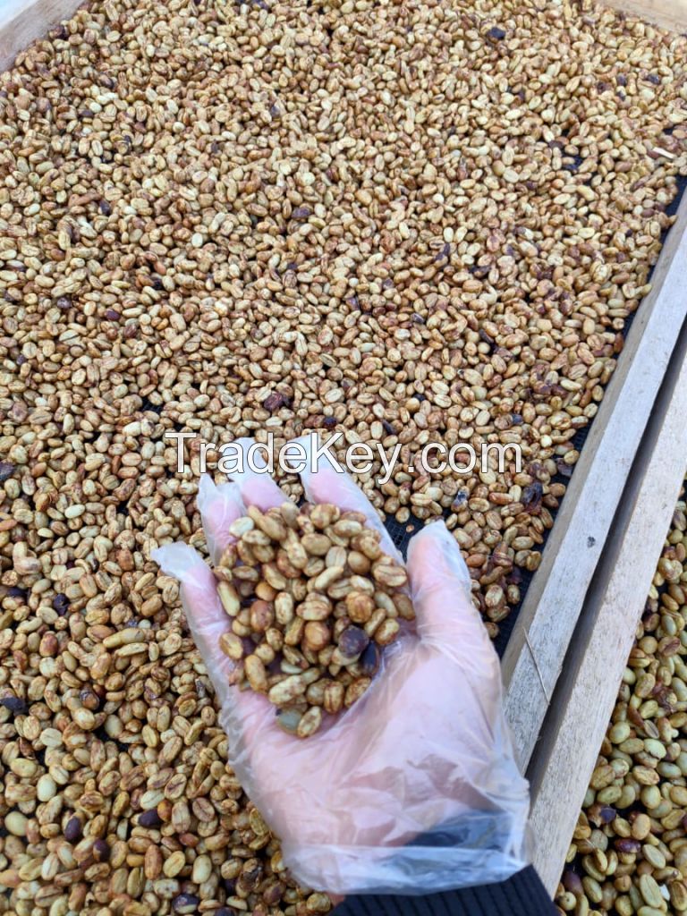 Indonesian Arabica Coffee Beans