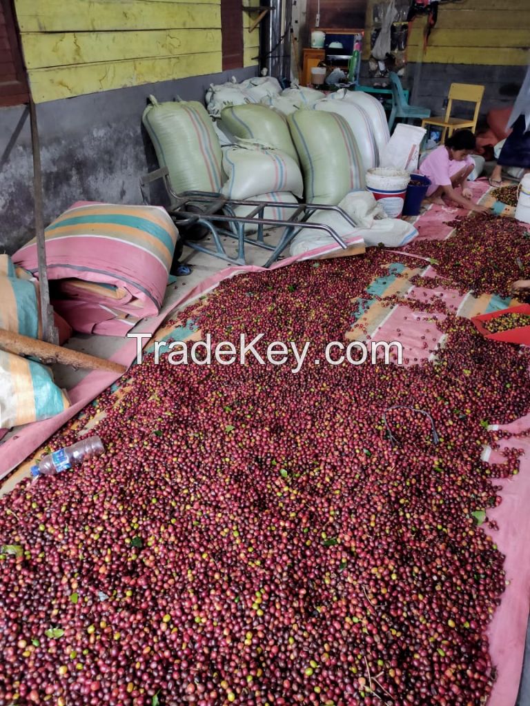 Indonesian Arabica Coffee Beans