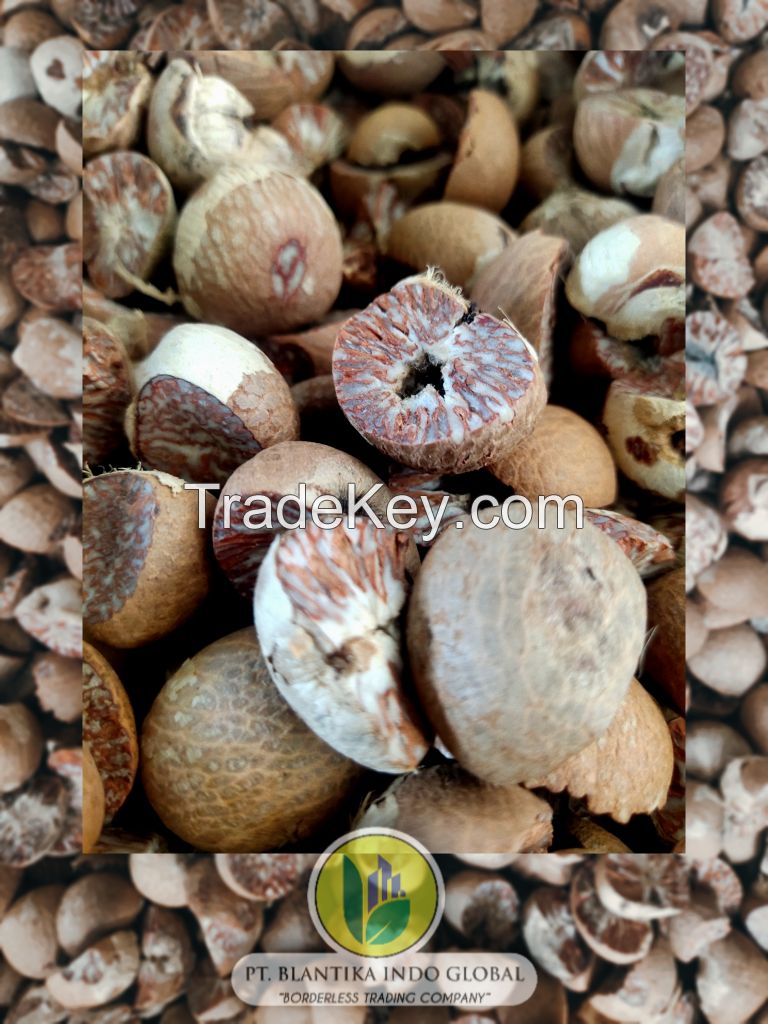 Indonesian Betel Nut