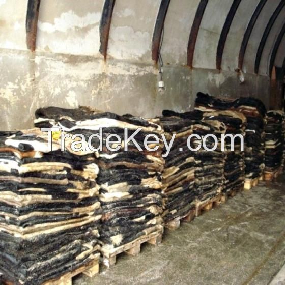 wet salted cow skins for sale