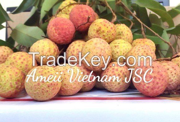 Fresh Lychee GlobalGAP from Vietnam, Mob/Whatsapp: +84356510958