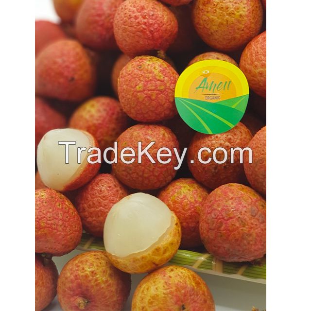 Fresh Lychee GlobalGAP from Vietnam, Mob/Whatsapp: +84356510958