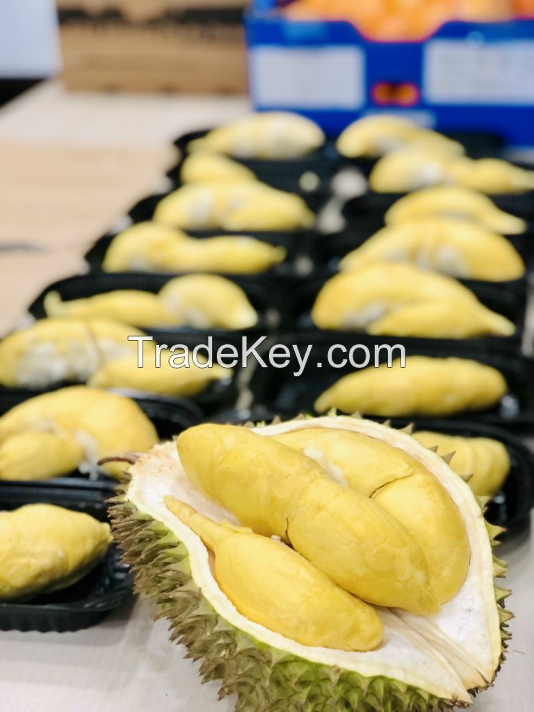 Fresh and Frozen Durian Ri6/Monthong Best Selling Fruit from Vietnam