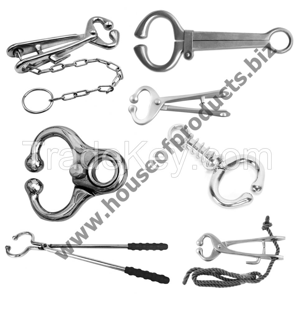 Bull Holders, Bull Holder With Chain, Harms Bull Holder, Bull Nose Holder With Spring Veterinary Instruments