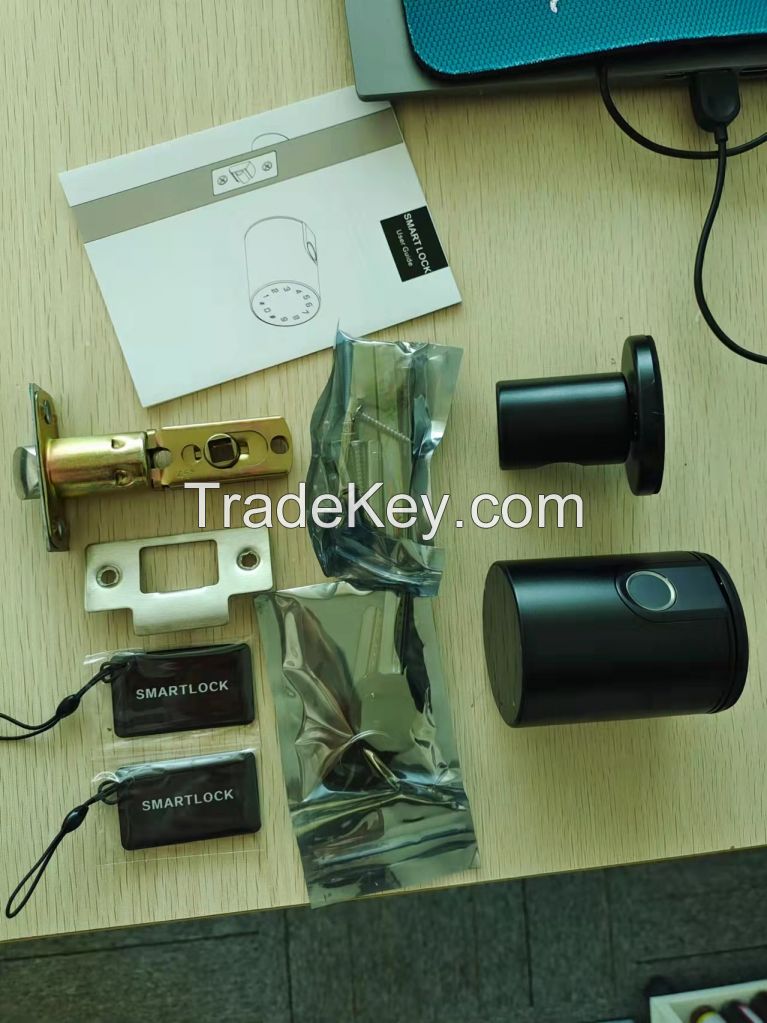 Tuya BLE, fingerprint, card, passwords, keys smart locks with spindle rod