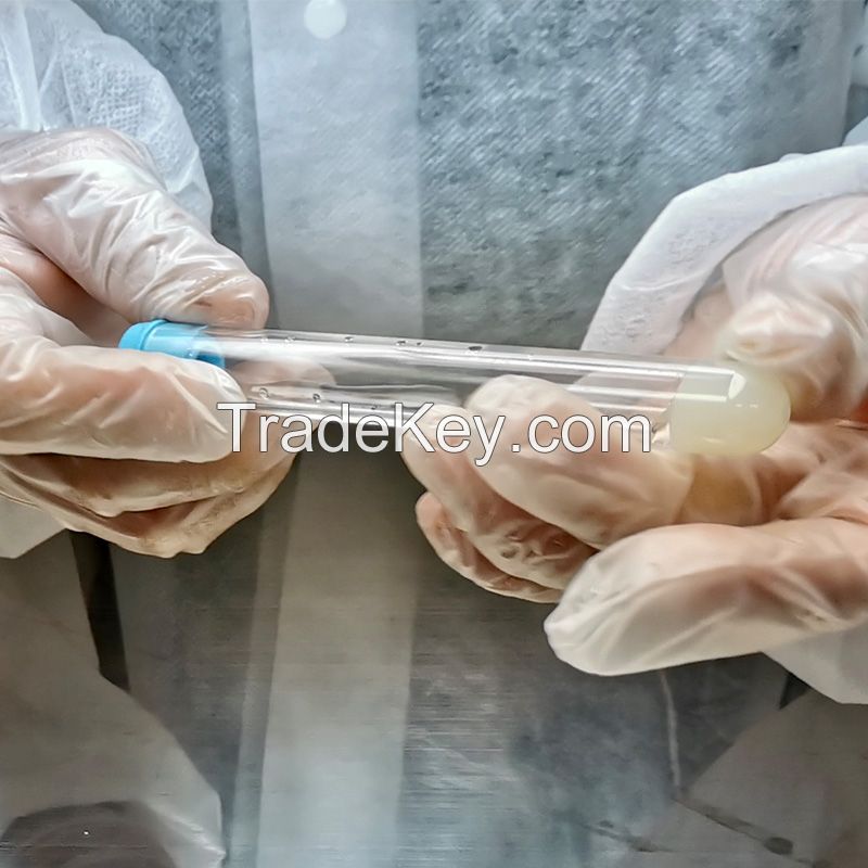 Vacuum PRP Tube Production Automatically overall solution