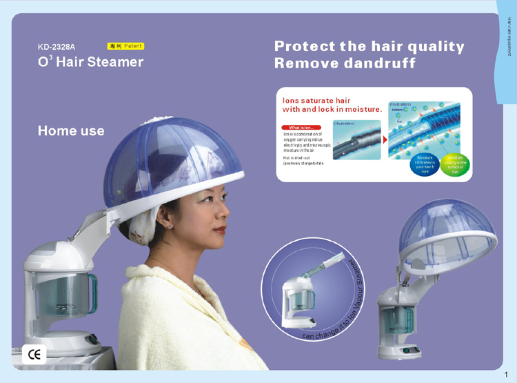 Ozone Hair Steamer