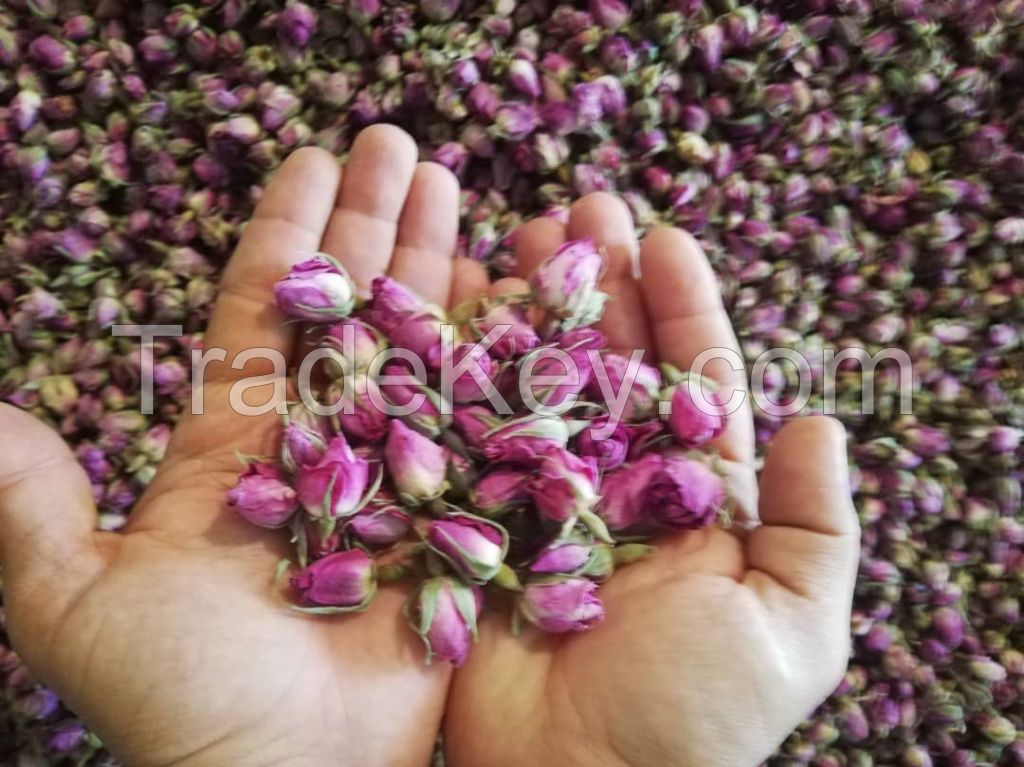 Dried rose buds, Natural and Aromatic herbs and Damask Rose