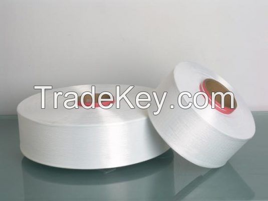 PP CF YARN  100-1000 denier