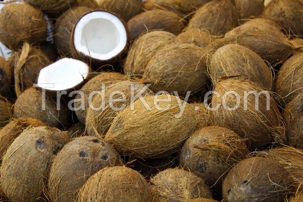 Dried Coconuts (Wholesale)