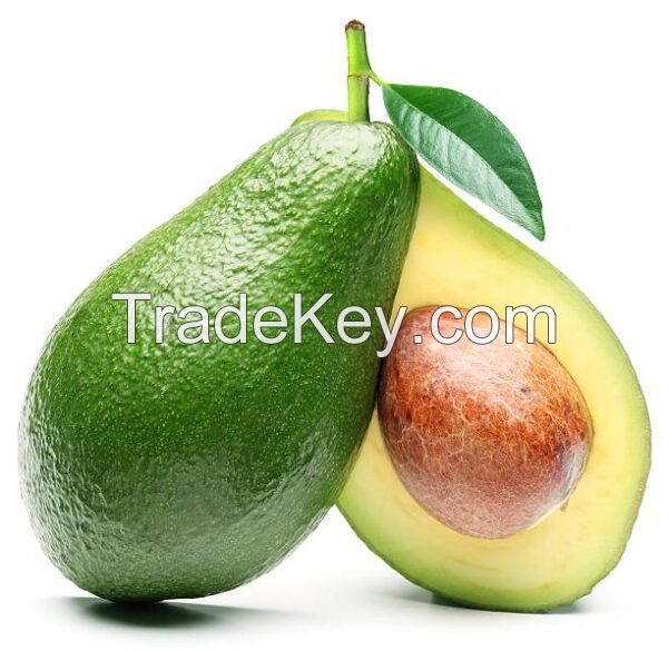 Fresh Hass Avocado Made in Vietnam for Export with the Best Price Standard High (HuuNghi Fruit)