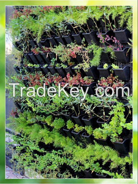 Vertical Garden (Outdoor Vertical Garden)