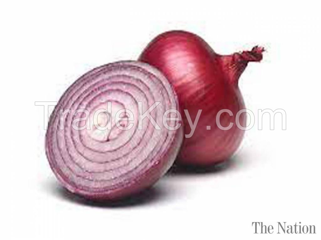 Fresh Pakistani All types Onions