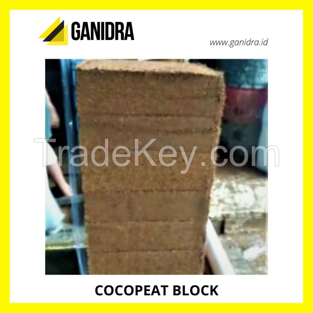 COCOPEAT BLOCK offer from Indonesia