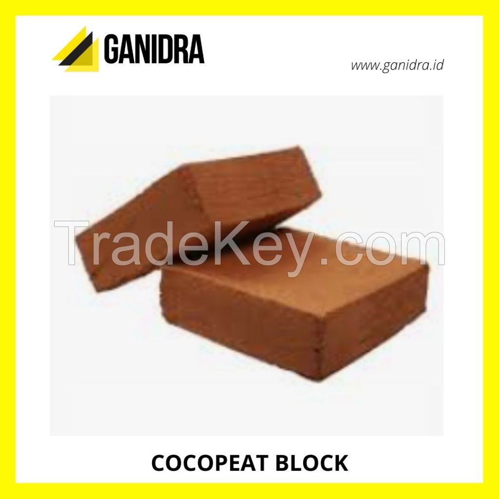 COCOPEAT BLOCK offer from Indonesia