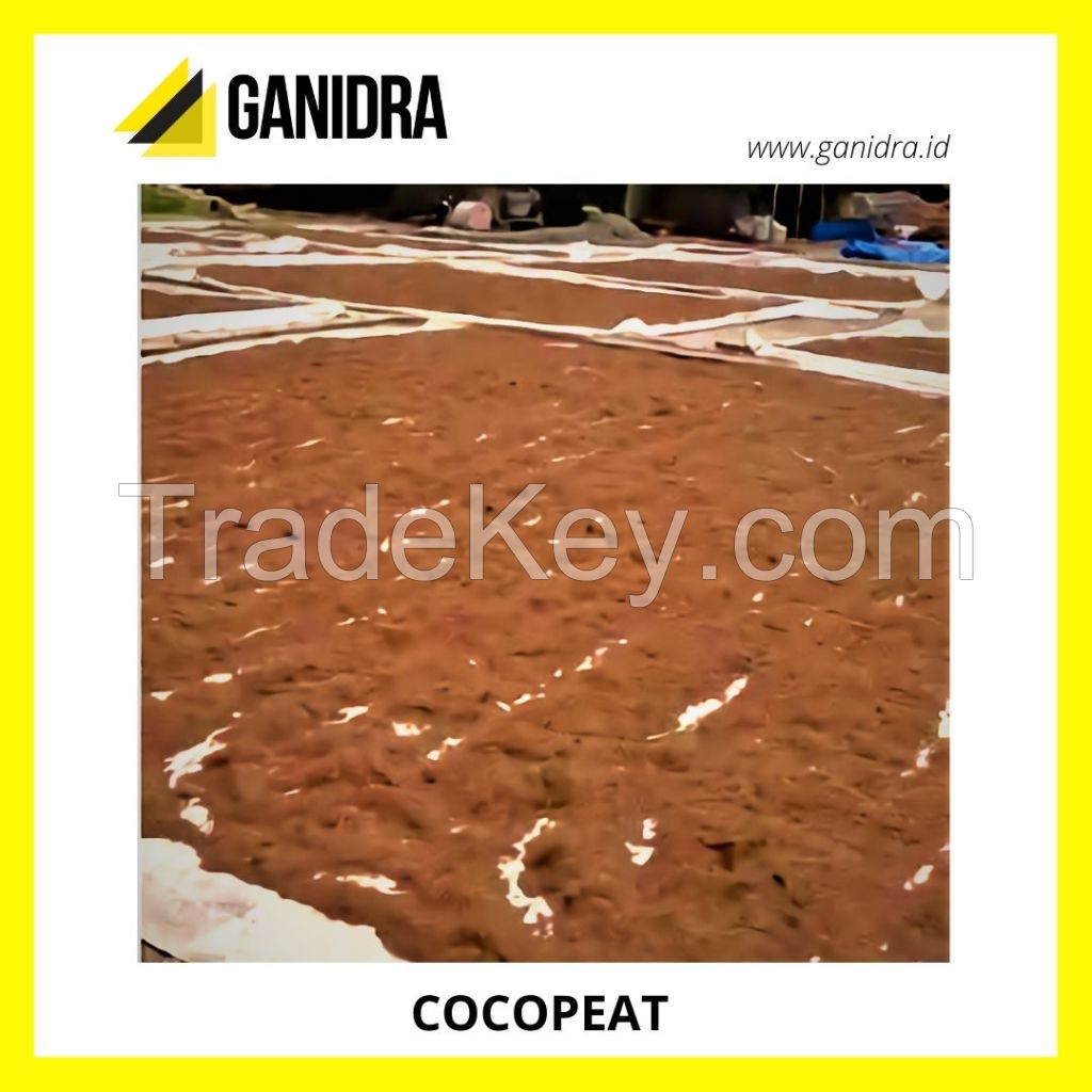 COCOPEAT offer from Indonesia