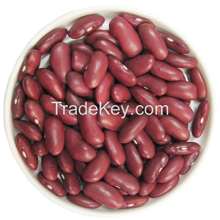 Red kidney beans are a wholesale provider of high-quality red kidney beans 