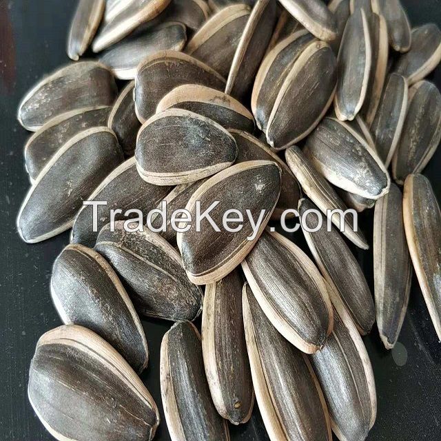 Sunfloweer seeds on sale