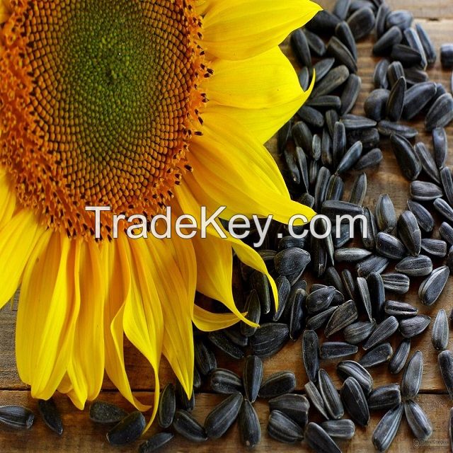 Sunfloweer seeds on sale