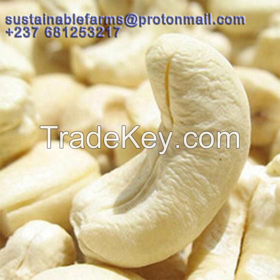 Top Grades of Cashew nuts for sale