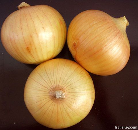 Selling yellow onion
