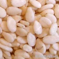 Selling Sesame seeds, white sesame seed