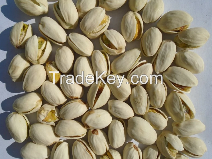 Selling Wholesale Pistachio Nuts / Pistachios Kernel for Sale 