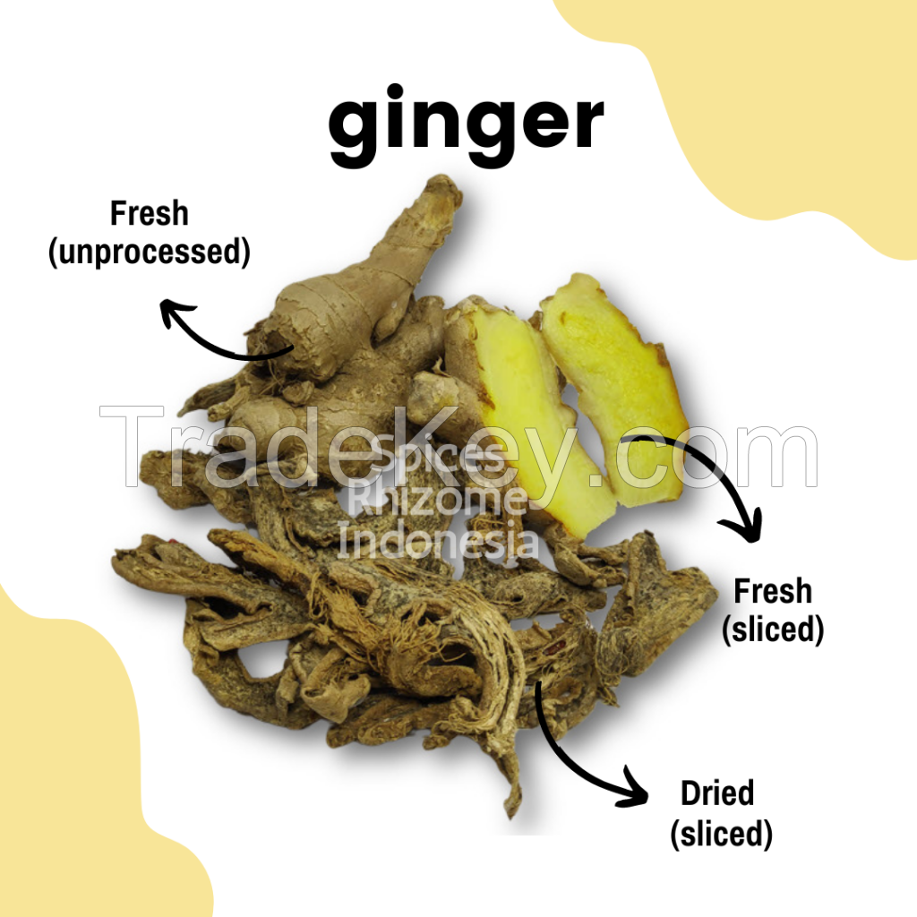 Ginger