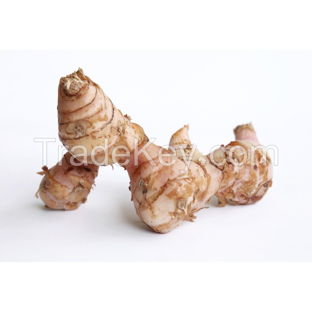 Galangal