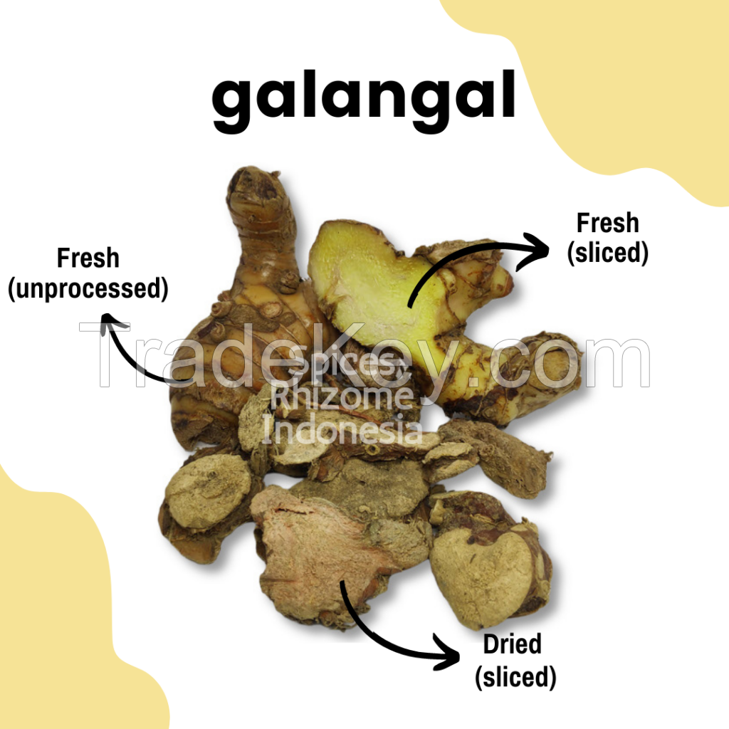 Galangal