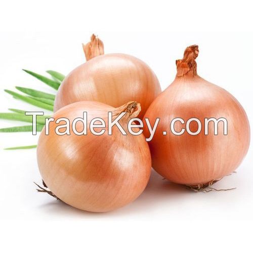 YELLOW/BROWN ONIONS