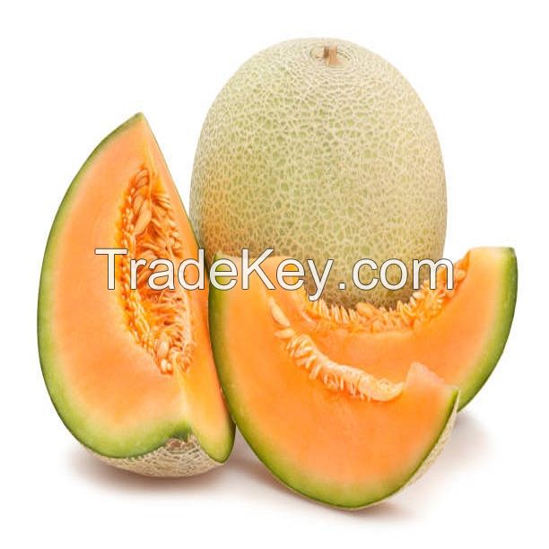 Wholesale High Quality Fresh Fruit Sweet Yellow Melons / FRESH SWEET HAMI MELON