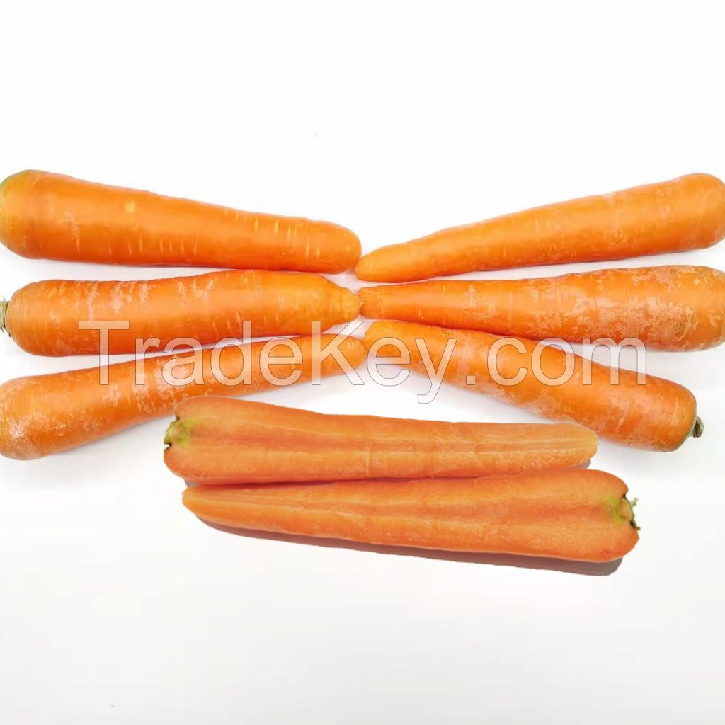 Wholesale fresh vegetables carrots other fresh vegetables fresh carrots