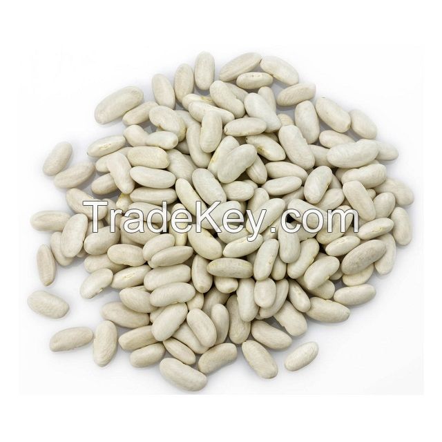 Hot Selling Good Quality Healthy Long White Sugar Bean Dry White Kidney Beans