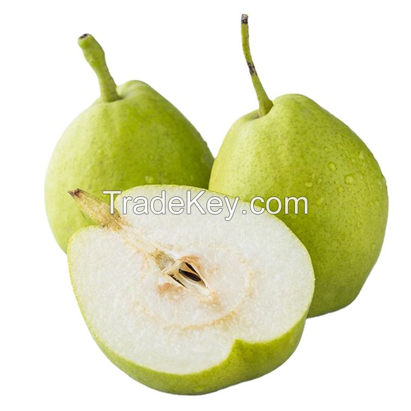 High quality with best price UK fresh ya pear fruit