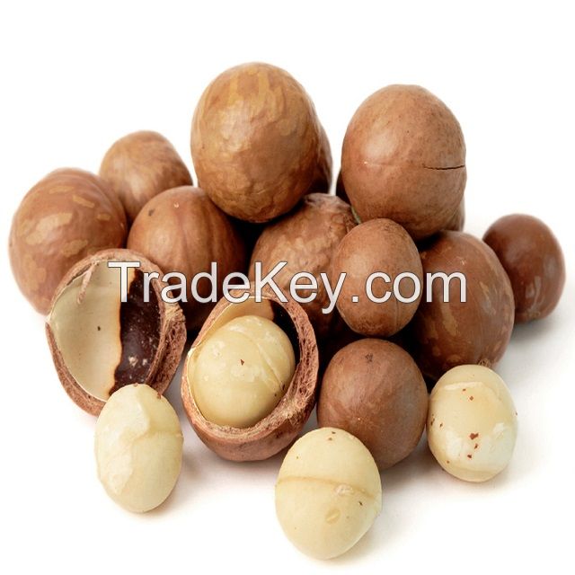 Cheap and competitive price Macadamia Nuts In shell, Kernels/Organic Macadamia