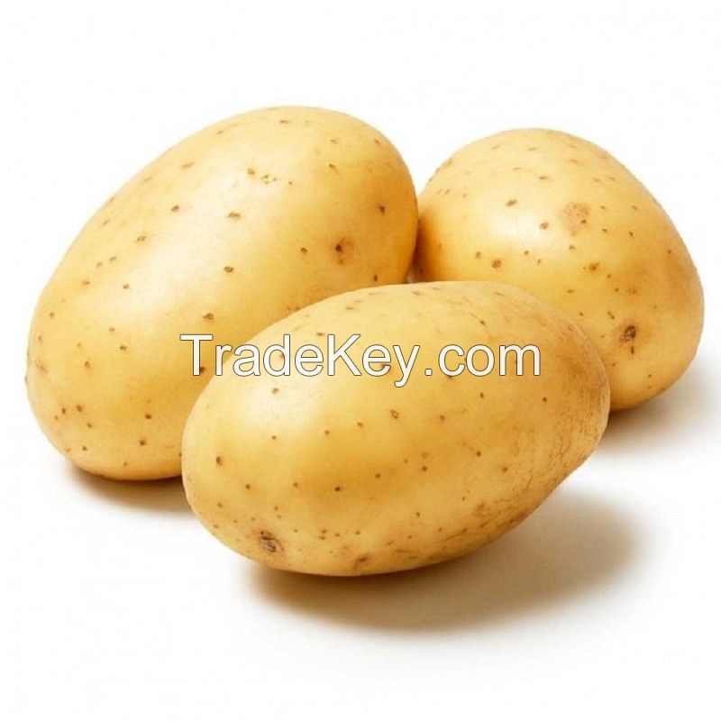 Best Quality Fresh Yellow-skinned Potatoes Newly Cultivated In UK In 2022