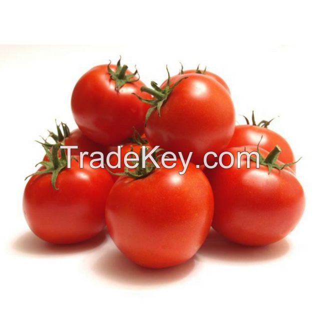 Fresh Cherry Quality Tomato, Fresh Plum Tomatoes for Sale.