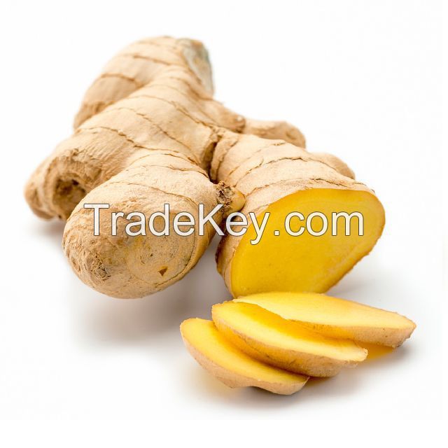 Hot Sale China Dry Ginger 2022 New Crop Chinese Fresh Ginger For Export