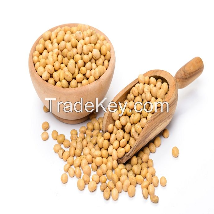 Non GMO dried cheap soybeans for sale affordable price