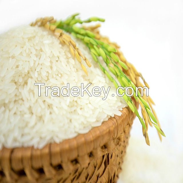 Wholesale Price of Indian 1401 White Sella Basmati Rice