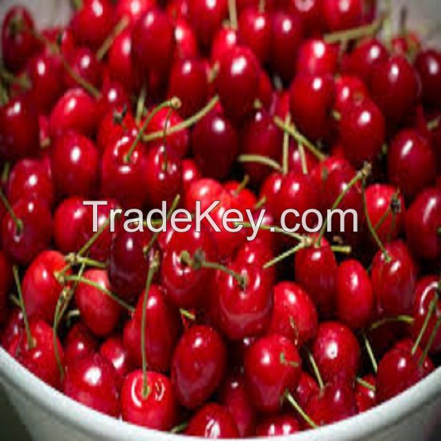 Wholesale Top Quality Fresh Cherries In Cheap Price