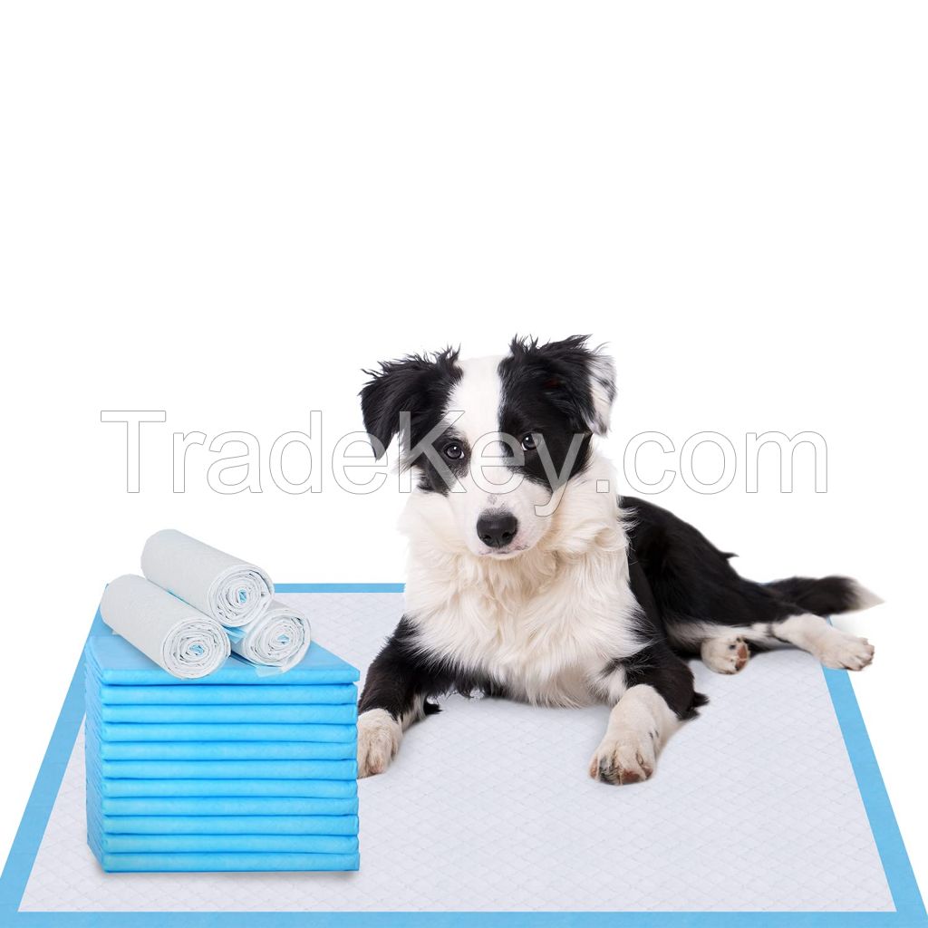 Cheap Pet Puppy Pad with High Quality for Pet Urine Training Disposable Puppy Underpad